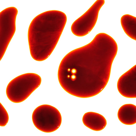 Close-up of red blood cells on a white background