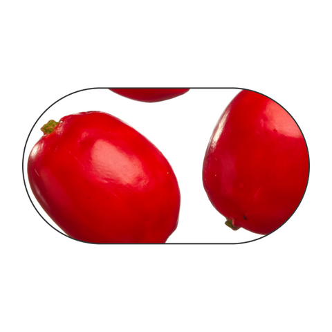 Coffee berry