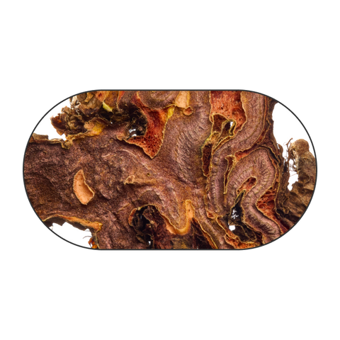 Rhodiola