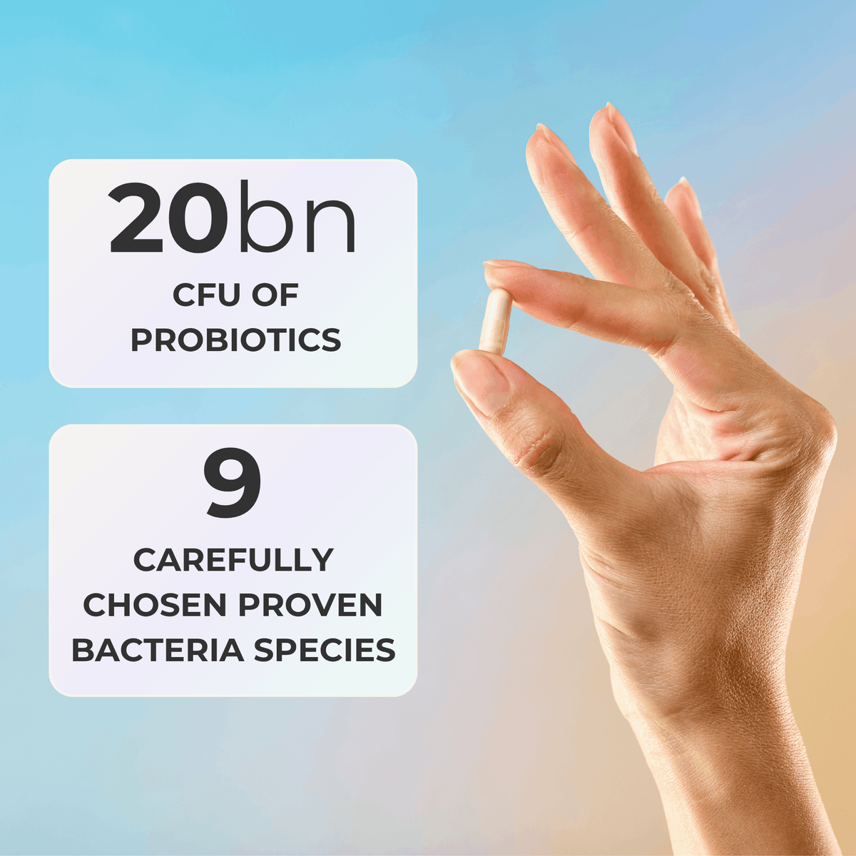 Probiotic Capsules