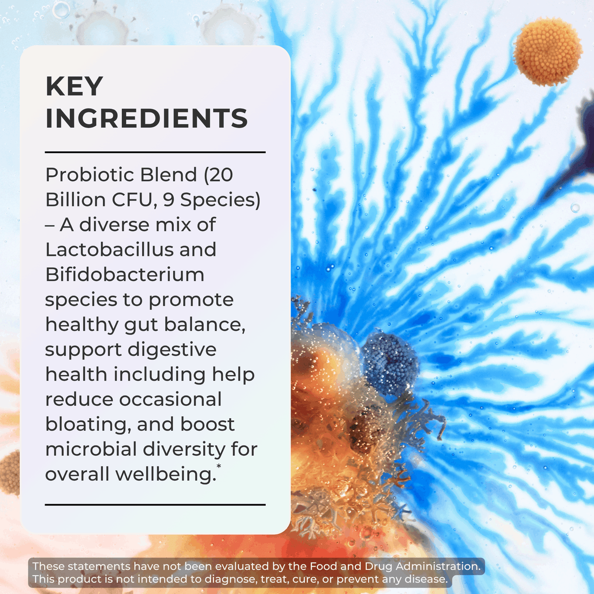 Probiotic Capsules