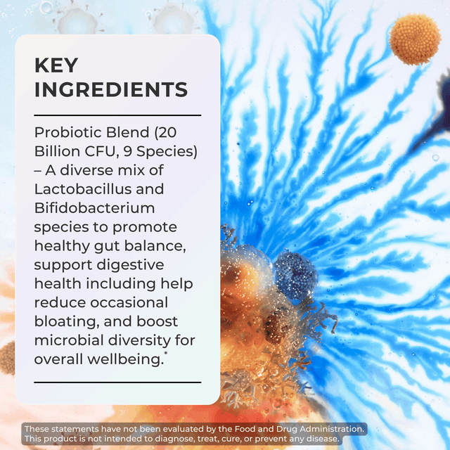 Probiotic Capsules + Prebiotic Powder
