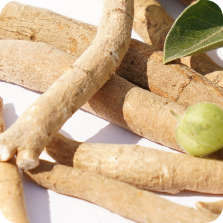 Ashwagandha Root with a green leaf on a white background