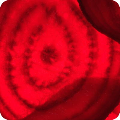Beet
