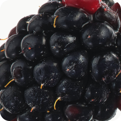 Blackberry