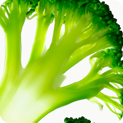 Broccoli