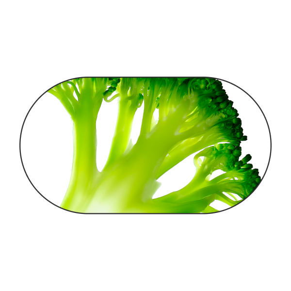 Brócoli