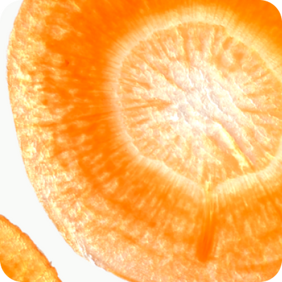 Carrot