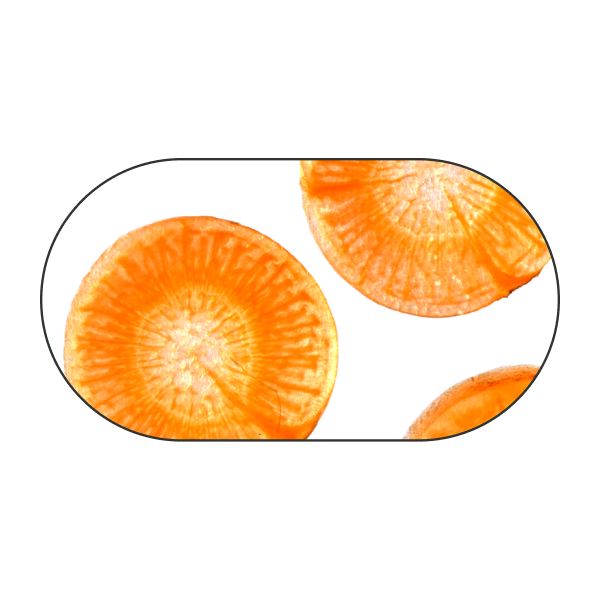 Zanahoria