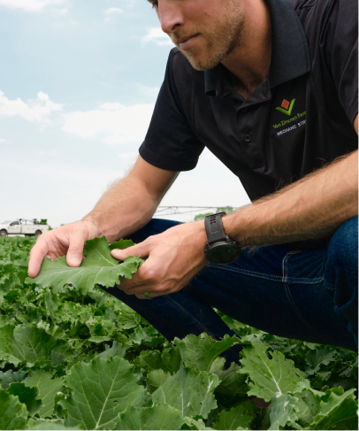 Agricultores de confianza