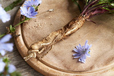 Inulin from chicory root