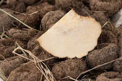 Glucomannan from konjac root